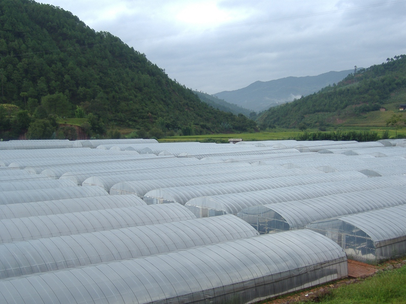 &ldquo;星光牌&rdquo;葡萄膜走進全國葡萄學(xué)術(shù)研討會