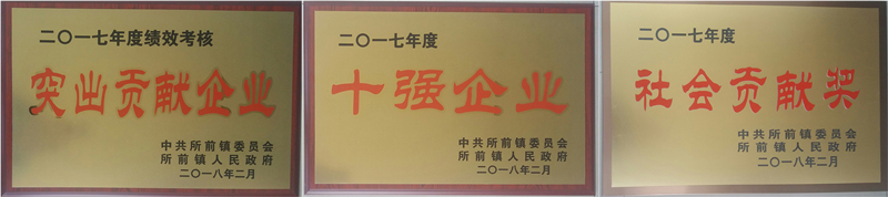 新光公司再獲所前鎮&ldquo;突出企業貢獻獎&rdquo;等多項榮譽