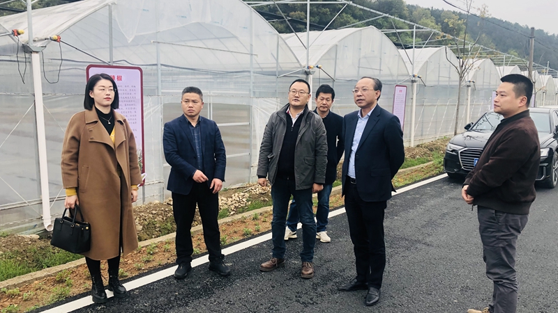集團黨委赴衢州區(qū)域&ldquo;走基層調查研究&rdquo;