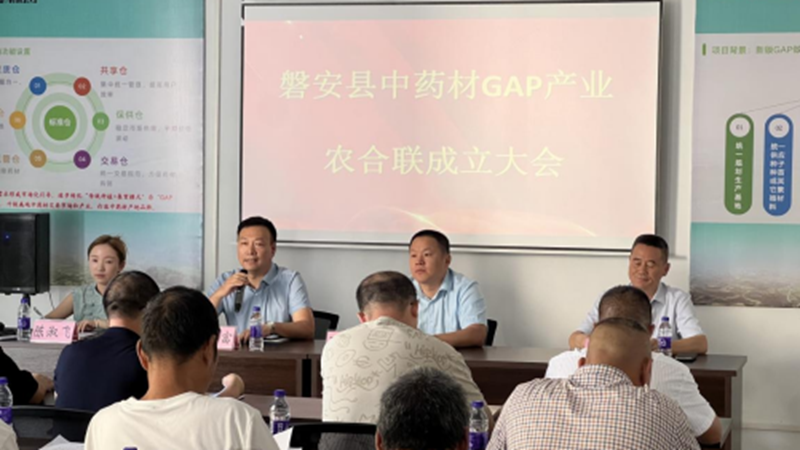 磐安中藥材GAP產(chǎn)業(yè)農(nóng)合聯(lián)成立 助推產(chǎn)業(yè)高質量發(fā)展